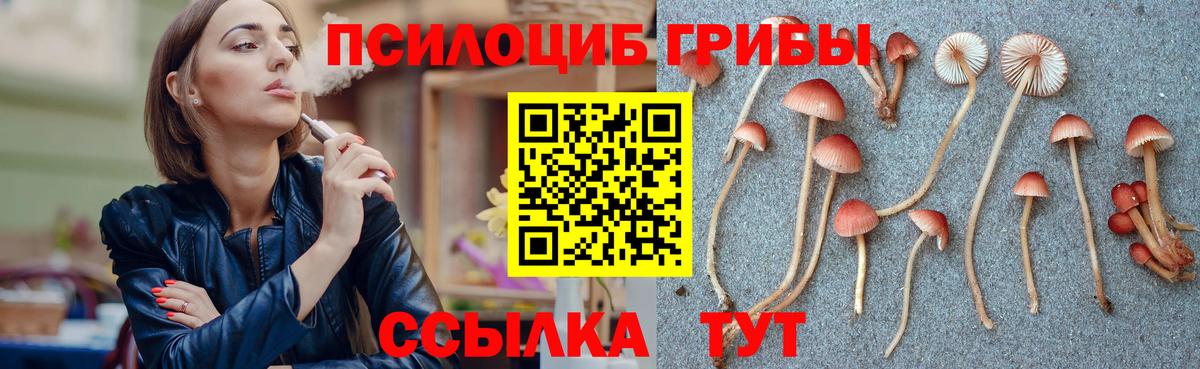 Карталы  Псилоцибиновые грибы Psilocybine cubensis  Вход с VPN 